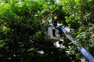 Vietnamlı işçi ağacın dalı kesmek için boom asansör üzerinde çalışmak