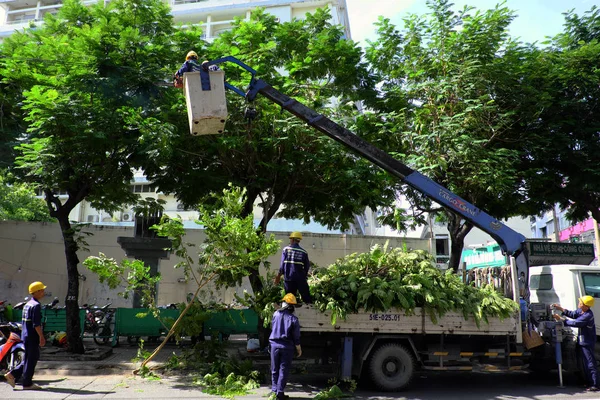 Trabajador vietnamita trabaja en auge ascensor para cortar rama de árbol —  Fotos de Stock