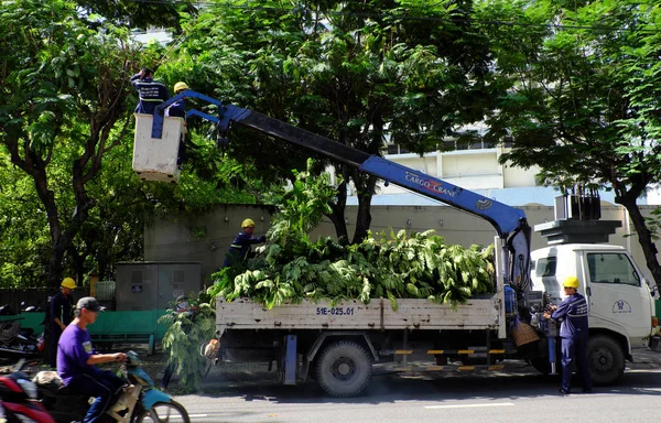 Vietnamlı işçi ağacın dalı kesmek için boom asansör üzerinde çalışmak — Stok fotoğraf