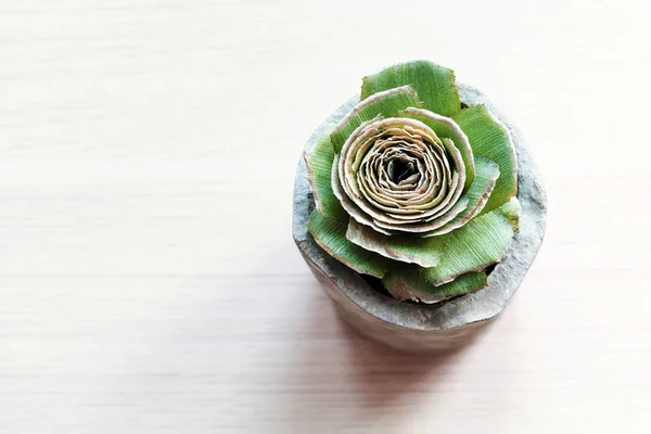 A green rose from pineapple stalk in handmade cement pot on whit — Stock Photo, Image