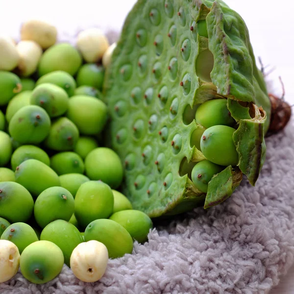 Färsk grön Lotus frö och Lotus frökapsel — Stockfoto