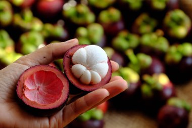 mangostana garcinia geri kadın elinde ikiye kesilmiş mangosten