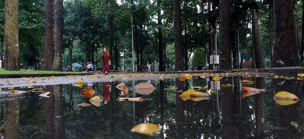ホーチミン市 ベトナム 2019年10月23日 雨の後のタオダン公園の鏡の風景 緑の木々が水たまりに反映された素晴らしいパノラマビュー 水の上の黄色の紅葉 新鮮な空気の中で僧侶歩く — ストック写真