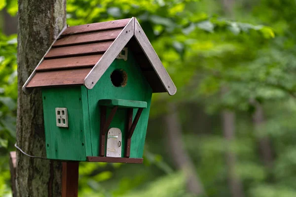 Foto di birdhouse in legno nella fredda foresta estiva Immagini Stock Royalty Free