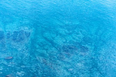 alt izleri ile berrak su ile deniz resmi