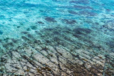 alt izleri ile berrak su ile deniz resmi