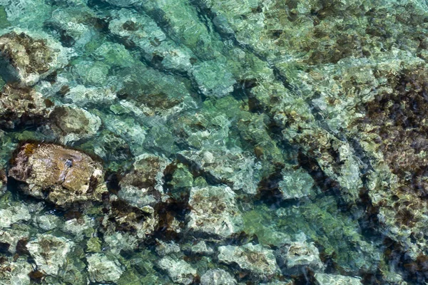 alt izleri ile berrak su ile deniz resmi