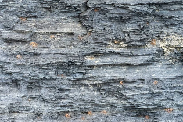 Sfondo naturale. Texture di strati di arenaria grigia — Foto Stock