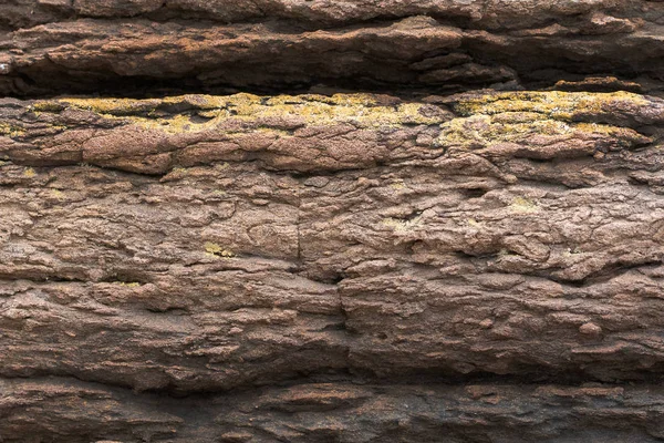 Natuurlijke backgound. Textuur van slatestone met corrosie patroon — Stockfoto