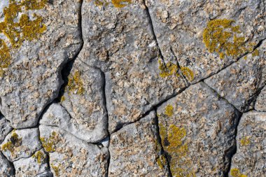 Arka plan görüntüsü. Liken desenli doğal mermer taş dokusu