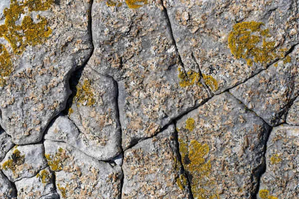 Háttérképet. Természetes márványkő állagát lichen mintával — Stock Fotó