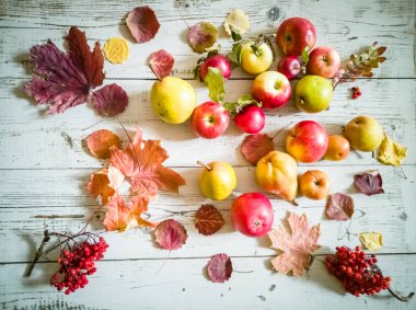Sonbahar kompozisyon: renkli yaprakları, kırmızı ve sarı elma, beyaz eski ahşap arka plan üzerinde armut. Şükran Günü. Sonbahar sezonu. Vintage kart.