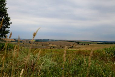 Bir yaz gününde manzara ve doğa