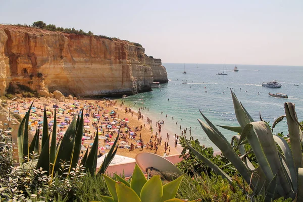 Algarve plajının panoramik manzarası - Portekiz