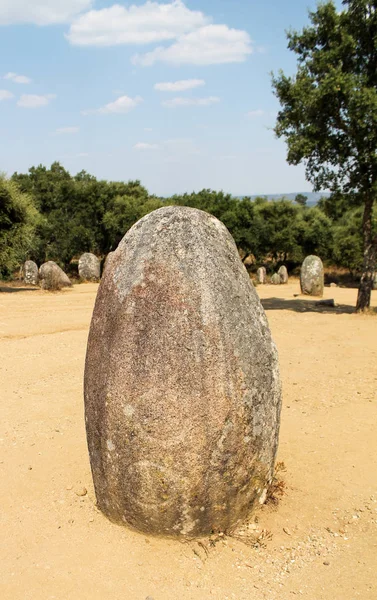 Kurak alanda Megalith - Cromlech di Almendres - Evora, Portekiz