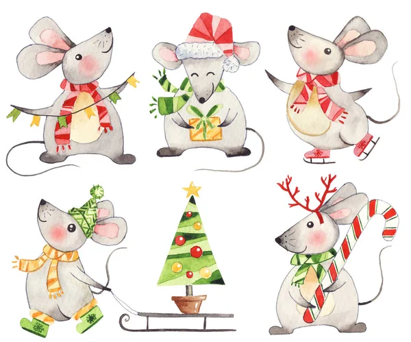 Set Van Leuke Aquarel Handbeschilderd Kerst Muizen Geïsoleerd Witte Achtergrond — Stockfoto