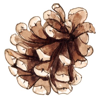 Noel tasarımı, çelenk, dekorasyon, tebrik kartları, davetiye için suluboya el boyalı izole eleman. Yeni yıl 2020, ağaç, ladin, koni