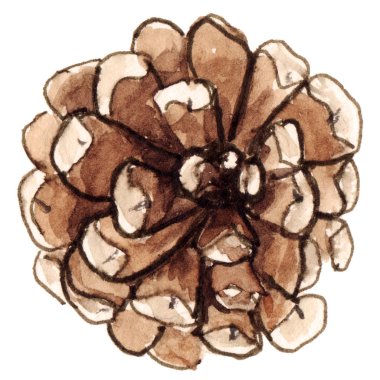 Noel tasarımı, çelenk, dekorasyon, tebrik kartları, davetiye için suluboya el boyalı izole eleman. Yeni yıl 2020, ağaç, ladin, koni