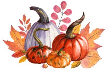 Kabak ve sonbahar yaprakları ile güzel kompozisyon. Suluboya el boyaması illüstrasyon. Beyaz arka planda izole edilmiş. Tebrik kartı, cadılar bayramı davetiyesi, şükran günü, tasarım kullanılabilir