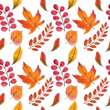 Sonbahar yaprakları ile güzel dikişsiz desen. Suluboya el boyaması illüstrasyon. Beyaz arka planda izole edilmiş. Tebrik kartı, cadılar bayramı davetiyesi, şükran günü, tasarım, duvar kağıdı, tekstil de kullanılabilir