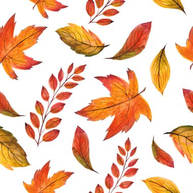 Sonbahar yaprakları ile güzel dikişsiz desen. Suluboya el boyaması illüstrasyon. Beyaz arka planda izole edilmiş. Tebrik kartı, cadılar bayramı davetiyesi, şükran günü, tasarım, duvar kağıdı, tekstil de kullanılabilir
