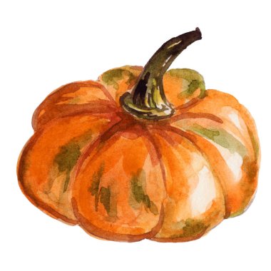 Balkabağı el boyalı suluboya illüstrasyon. Sonbahar tasarımı. Duvar kağıdı tasarımında, tebrik kartları, helloween davetiye, tekstil, dekorasyon için kullanılabilir. Izole