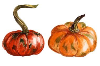 Kabak el boyalı suluboya seti. Sonbahar tasarımı. Duvar kağıdı tasarımında, tebrik kartları, helloween davetiye, tekstil, dekorasyon için kullanılabilir. Izole