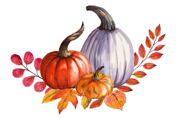 Kabak ve sonbahar yaprakları ile güzel kompozisyon. Suluboya el boyaması illüstrasyon. Beyaz arka planda izole edilmiş. Tebrik kartı, cadılar bayramı davetiyesi, şükran günü, tasarım kullanılabilir