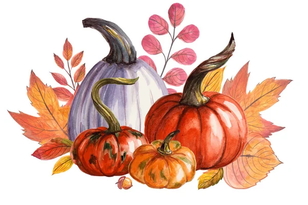 Kabak ve sonbahar yaprakları ile güzel kompozisyon. Suluboya el boyaması illüstrasyon. Beyaz arka planda izole edilmiş. Tebrik kartı, cadılar bayramı davetiyesi, şükran günü, tasarım kullanılabilir