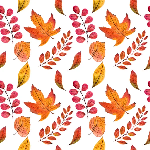 Sonbahar yaprakları ile güzel dikişsiz desen. Suluboya el boyaması illüstrasyon. Beyaz arka planda izole edilmiş. Tebrik kartı, cadılar bayramı davetiyesi, şükran günü, tasarım, duvar kağıdı, tekstil de kullanılabilir