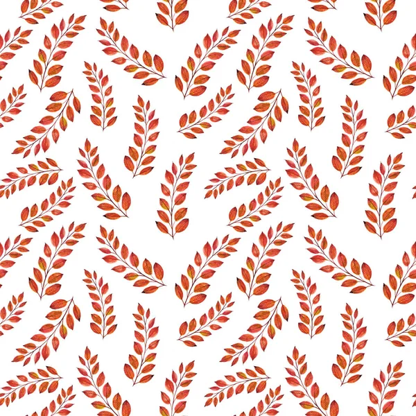 Sonbahar yaprakları ile güzel dikişsiz desen. Suluboya el boyaması illüstrasyon. Beyaz arka planda izole edilmiş. Tebrik kartı, cadılar bayramı davetiyesi, şükran günü, tasarım, duvar kağıdı, tekstil de kullanılabilir
