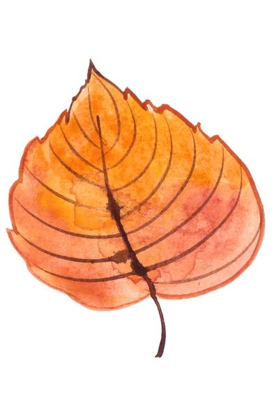 Hanpainted Aquarel Illustratie Van Een Herfst Blad Geïsoleerd Witte Achtergrond — Stockfoto