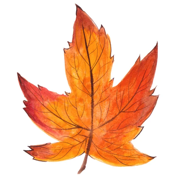 Hanpainted Aquarel Illustratie Van Een Herfst Blad Geïsoleerd Witte Achtergrond — Stockfoto