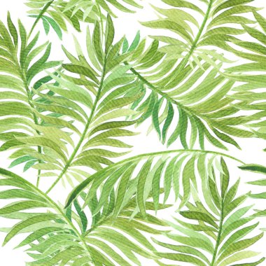 Güzel tropikal egzotik yaprakları ile suluboya dikişsiz desen. Arka plan, duvar kağıdı, tekstil, baskılar, giysi, tasarım için en iyi. El boyaması illüstrasyon
