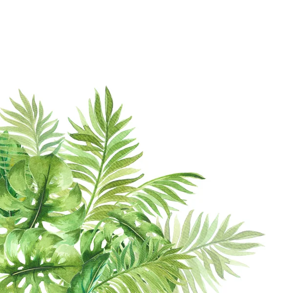 Composição Com Aquarela Design Folhas Tropicais Isolado Fundo Branco Ilustração — Fotografia de Stock
