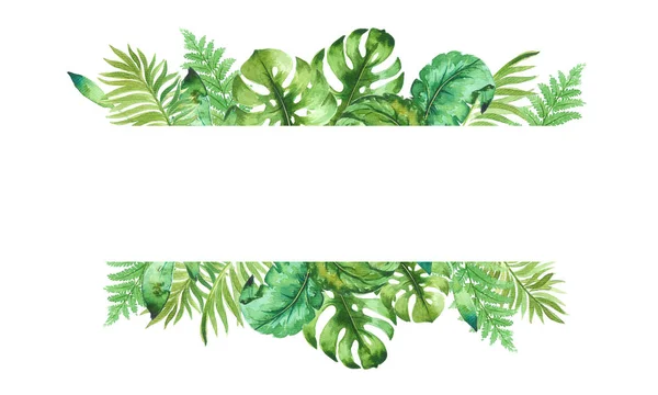 Frame Watercolor Tropical Leaves Design Isolated White Background Hand Painted — Stock Photo, Image