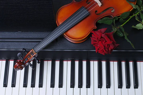 close up of violin and red rose lying on piano