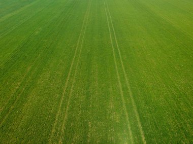 İlk yağmura hazır bahar tarlaları