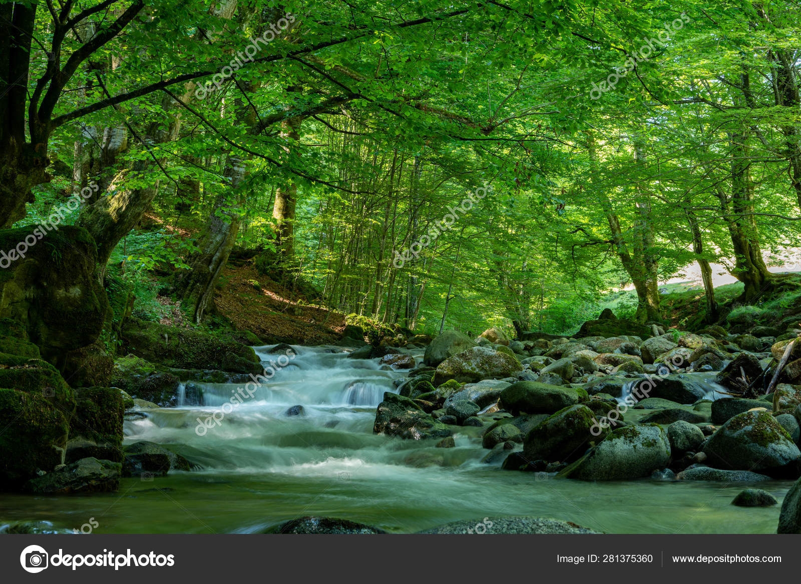 Forest river Stock Photos, Royalty Free Forest river Images