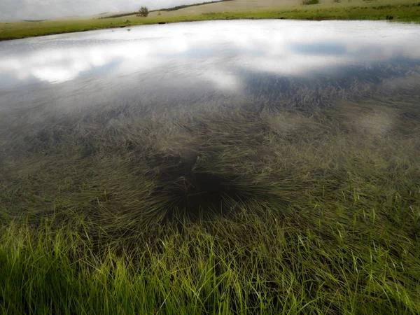 Bir kapı. Başka bir dünyaya giriş. Doğa.                              