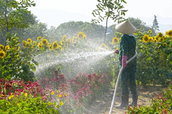 Su layıcı. Yeşil tulumlu bir kadın, şapka, eldiven ve çizmeler, bel etrafında bir hortum tutar ve ayçiçeği ve çiçeklerile bir çim sulanmış. Su sıçratan bir gökkuşağı dolu, eğlenceli bir atmosfer yaratır.