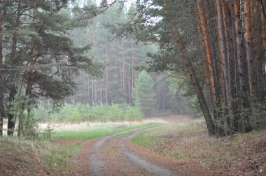 Sesler azalır, hayvanlar ve kuşlar donar, güneş suyun üstüne düşer. Yarın yeni bir gün olacak..