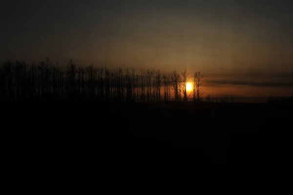 Sesler azalır, hayvanlar ve kuşlar donar, güneş suyun üstüne düşer. Yarın yeni bir gün olacak..