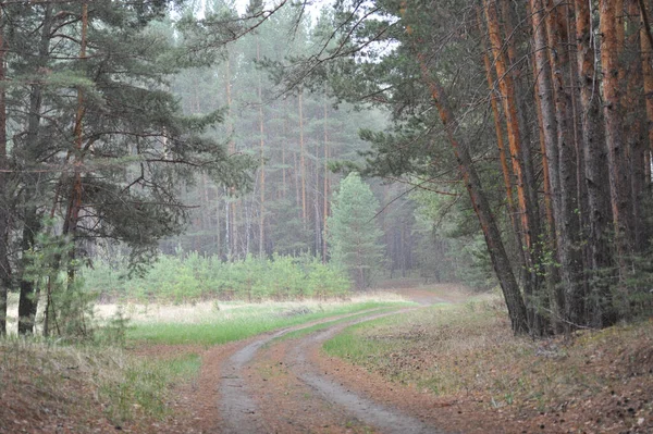 Sesler azalır, hayvanlar ve kuşlar donar, güneş suyun üstüne düşer. Yarın yeni bir gün olacak..