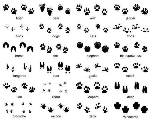 Set Footprints Wild Animals Illustration Black Silhouette — Stock Vector