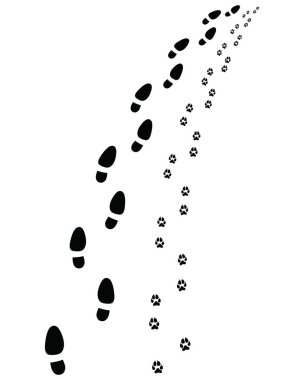 :İnsan ve köpeğin ayak izleri, sola ya da sağa dönün.