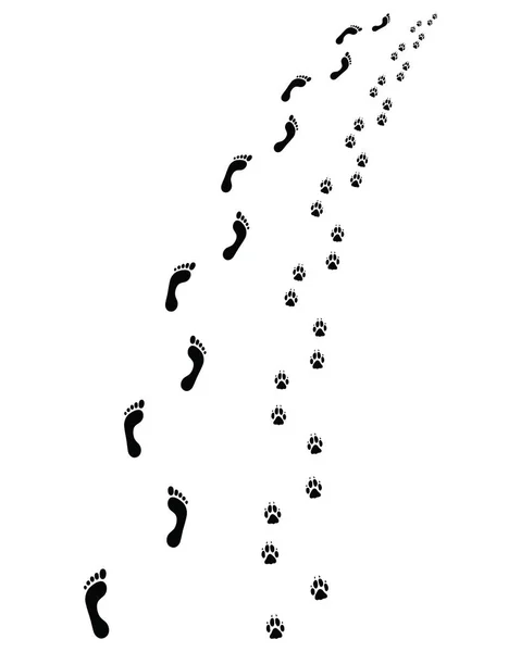 人的脚和狗爪的指纹 左右转弯 — 图库矢量图片