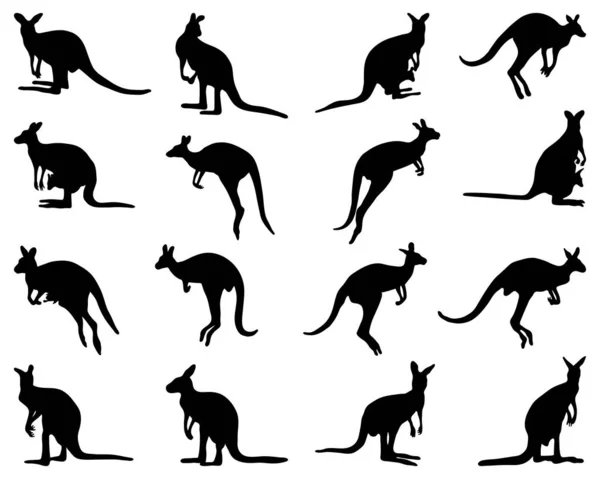 Schwarze Silhouetten Von Känguru Auf Weißem Hintergrund — Stockvektor