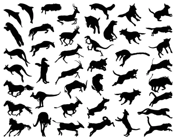 Silhouettes Noires Animaux Dans Saut Sur Fond Blanc — Image vectorielle