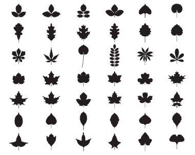 Beyaz arka planda siyah yaprak siluetleri